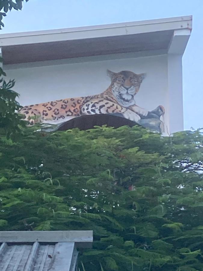 Jaguar Morning Star Hotel Caye Caulker Exterior photo