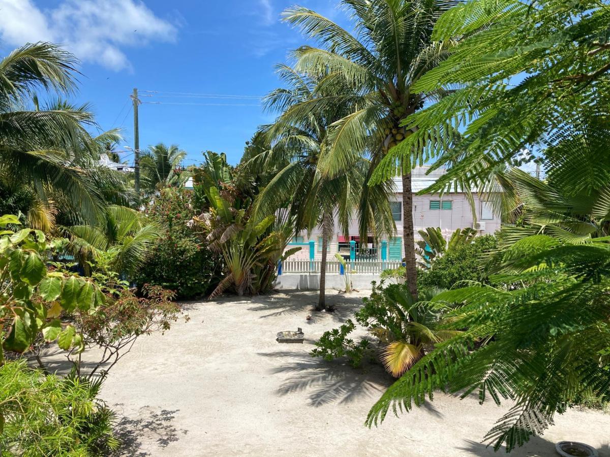 Jaguar Morning Star Hotel Caye Caulker Exterior photo